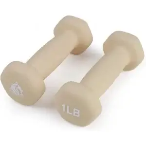 Anti Slip Hexagon Dumbbells Neoprene Coated